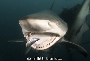 gnamm.. by Afflitti Gianluca 
